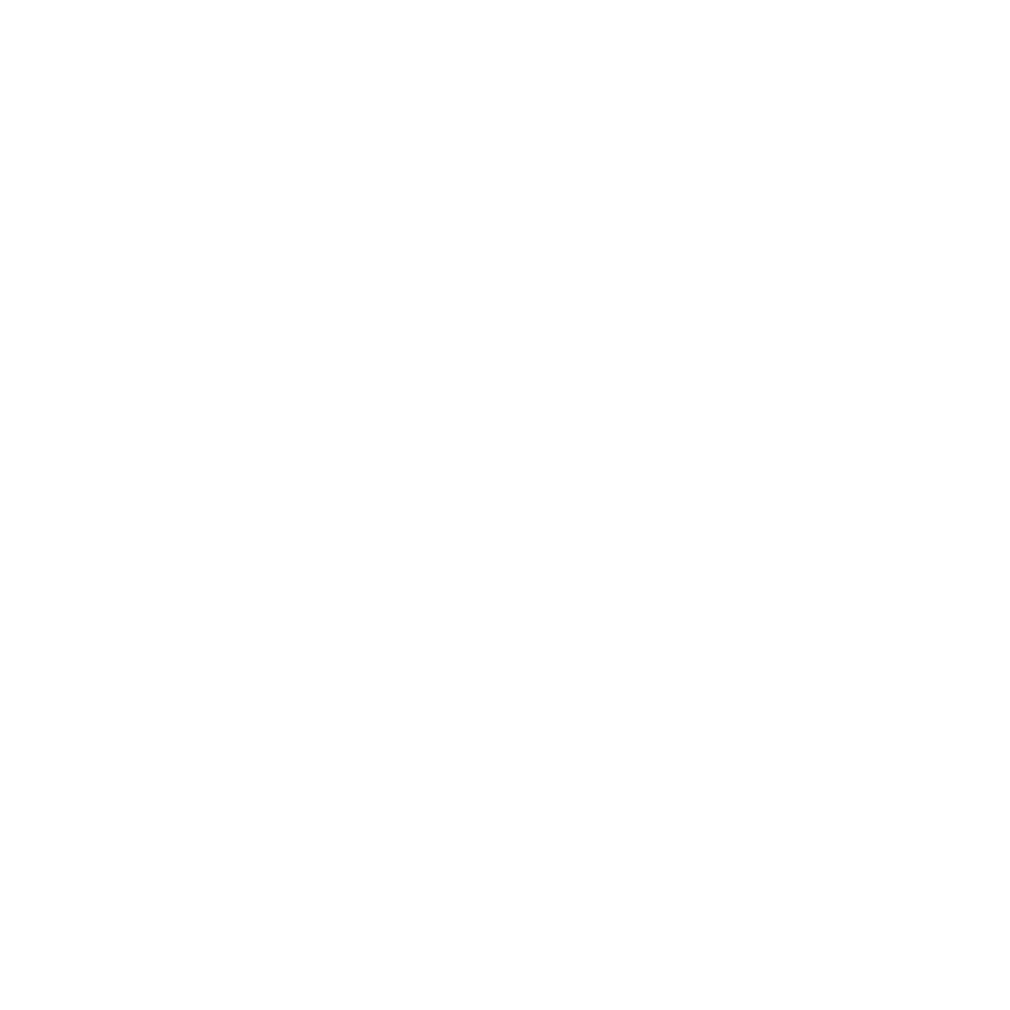 Bidaura logo
